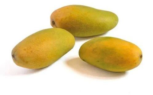 A Grade Fresh Dasheri Mango