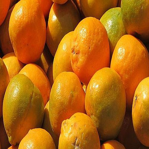 A Grade Fresh Orange