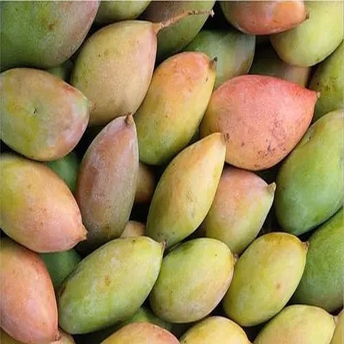 A Grade Fresh Totapuri Mango