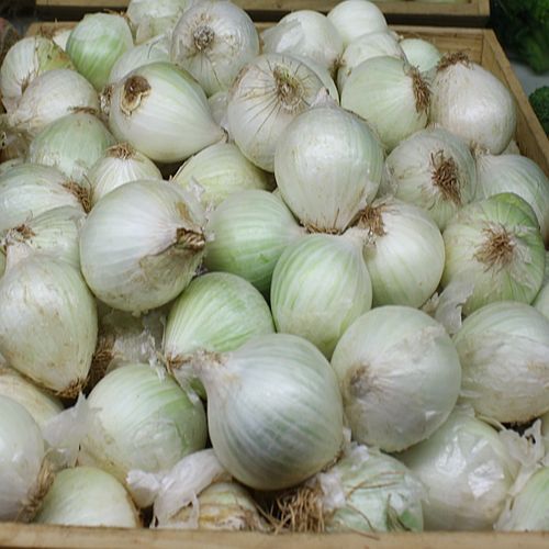A Grade Fresh White Onion