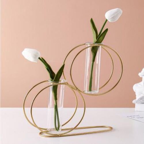Double Round Metal Wire Glass Tube Vase