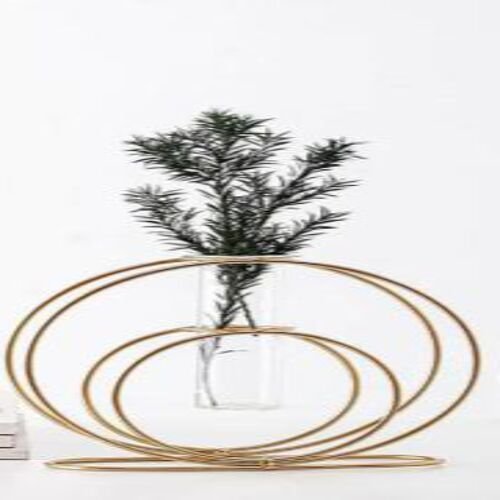 Round Shape Metal Wire Glass Tube Vase