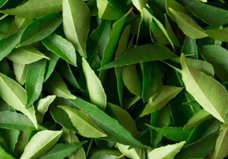 Organic Fresh Curry Leaves