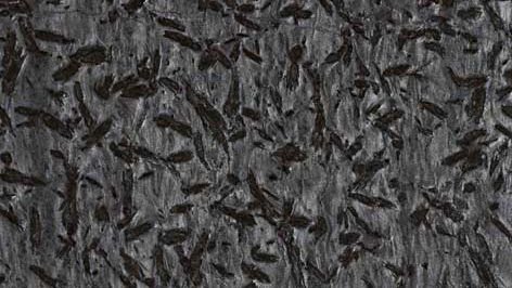 Imported Matrix Granite Slab