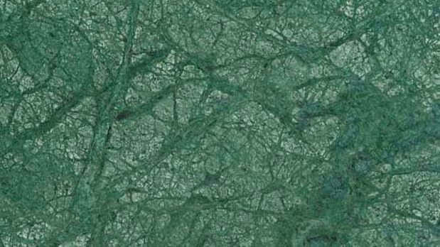 Indian Forest Green Granite Slab