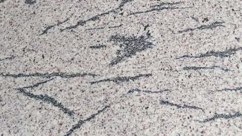 Indian French White Granite Slab