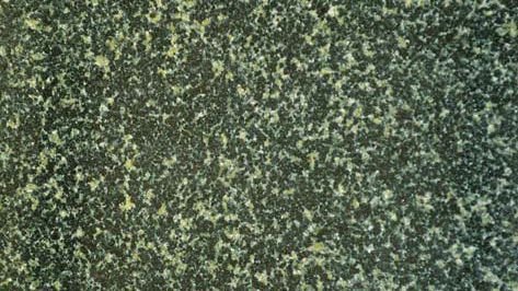 Indian Hassan Green Granite Slab