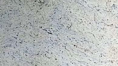 Indian Imperial White Granite Slab