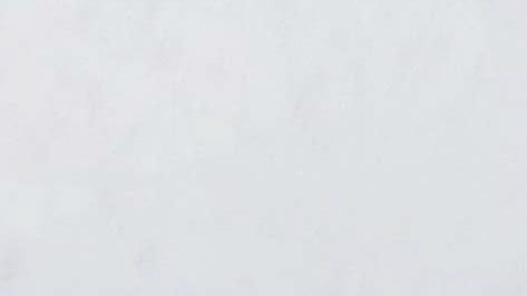 Indian Makrana White Granite Slab