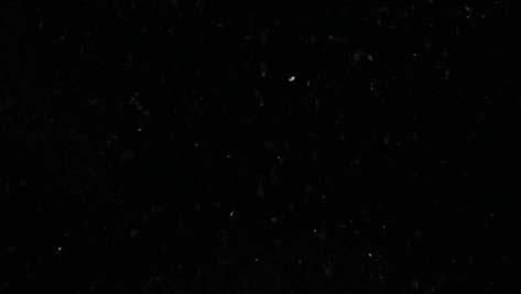 Indian Premium Black Granite Slab