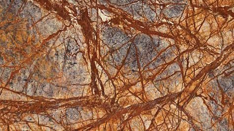 Indian Rainforest Brown Granite Slab