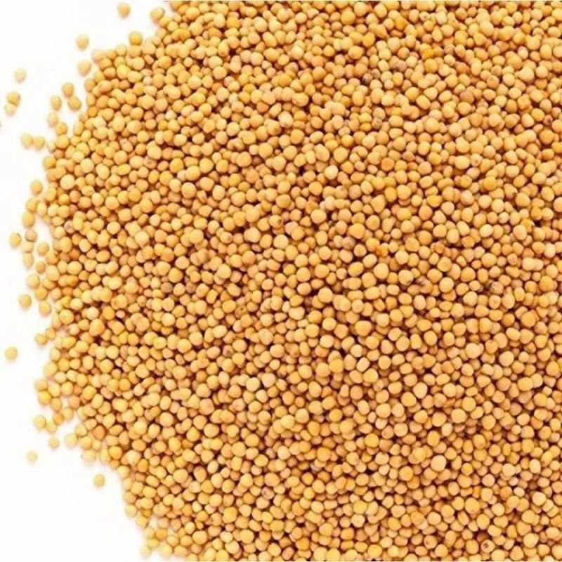Yellow Mustard Seeds