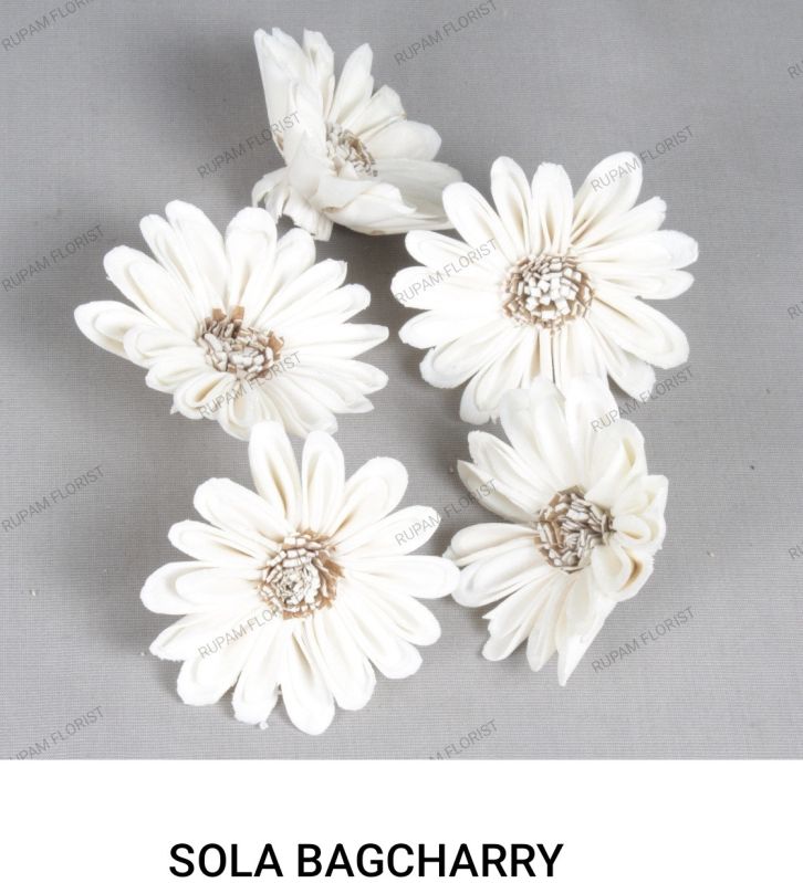 Bagcharry Sola Wood Flowers