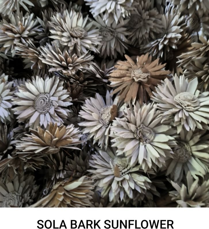 Bark Sola Wood Sunflower