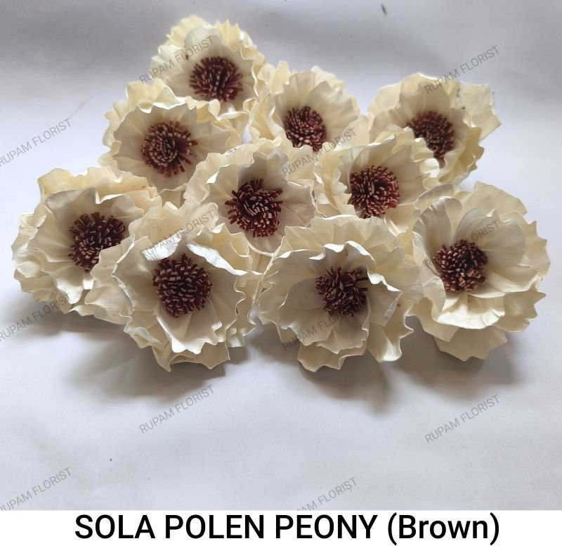 Brown Sola Peony Wood Flowers