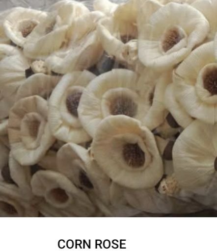 Daisy Corn Rose Flowers