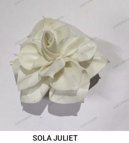 Juilet Sola Wood Flower
