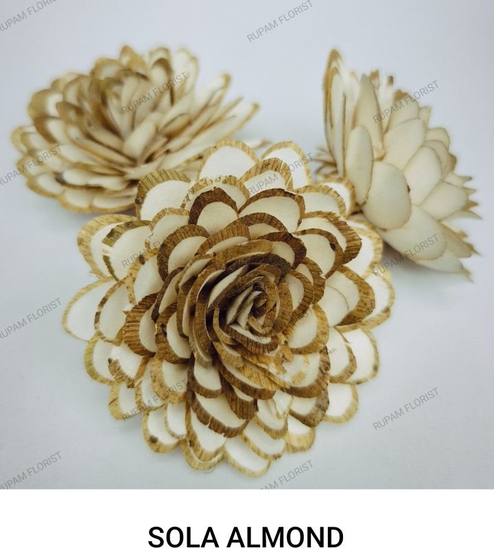 Sola Almond Flowers