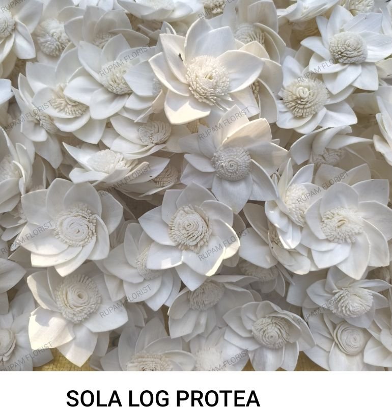 Sola Wood Log Protea Flower