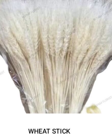 Wheat Grass Dried Flowers