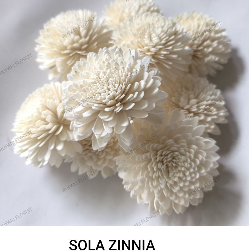 Zinnia Sola Wood Flowers