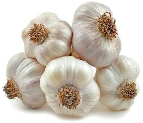 A Grade Fresh White Garlic