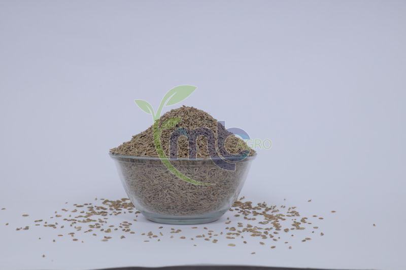 Grade 2 Silver Select Jeera