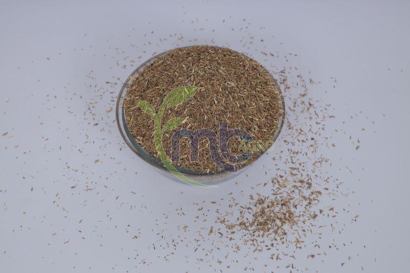 Grade 3 Daily Fresh Jeera