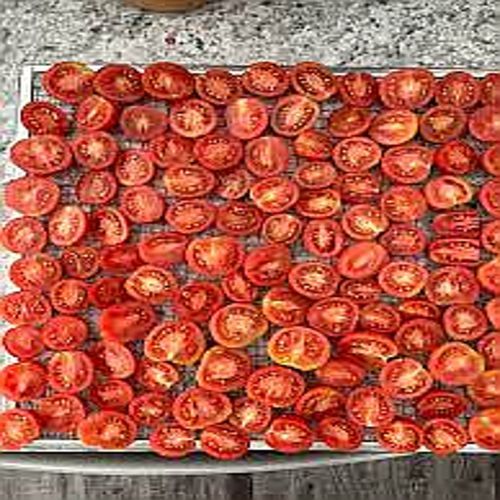 Dehydrated Tomato