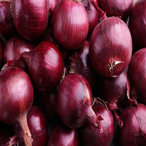 Fresh Red Onion