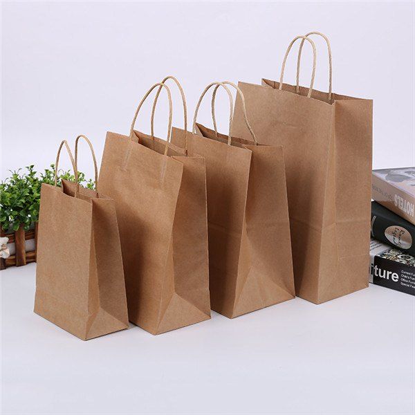 Paper Biodegradable Bags