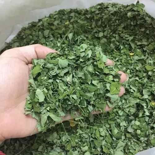 Moringa Leaves & Powder
