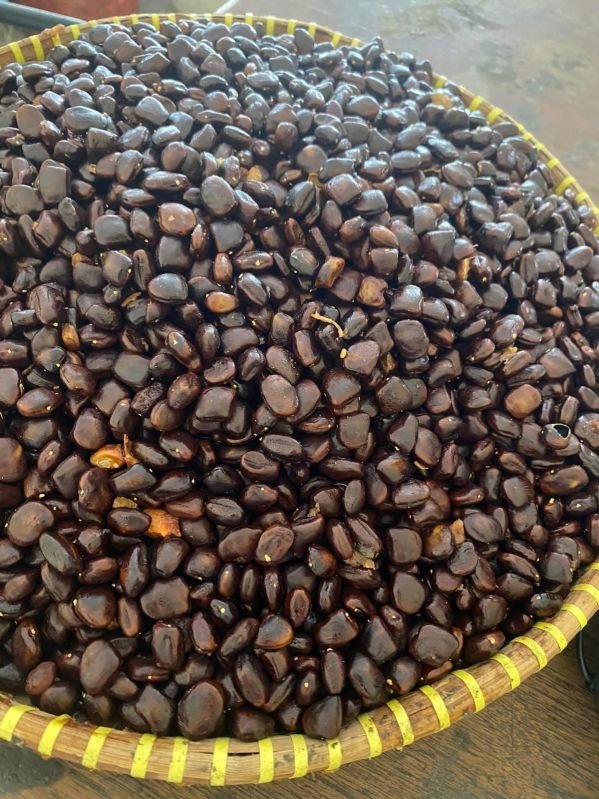 Tamarind Seeds
