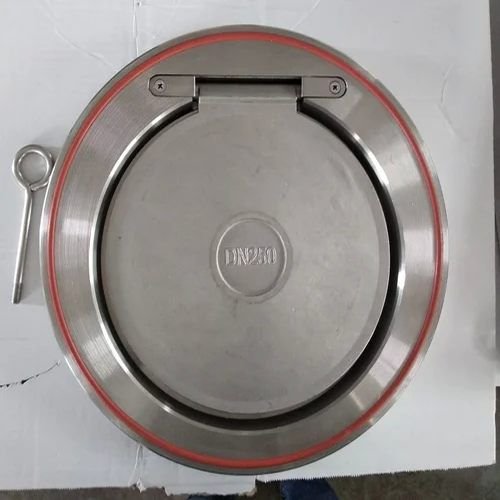 Disk Check Valve