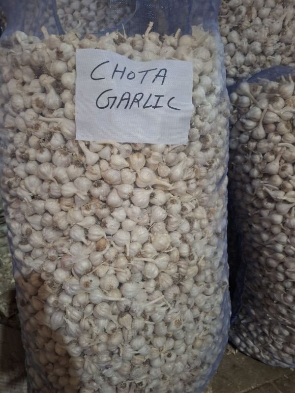 Chota Fresh White Garlic