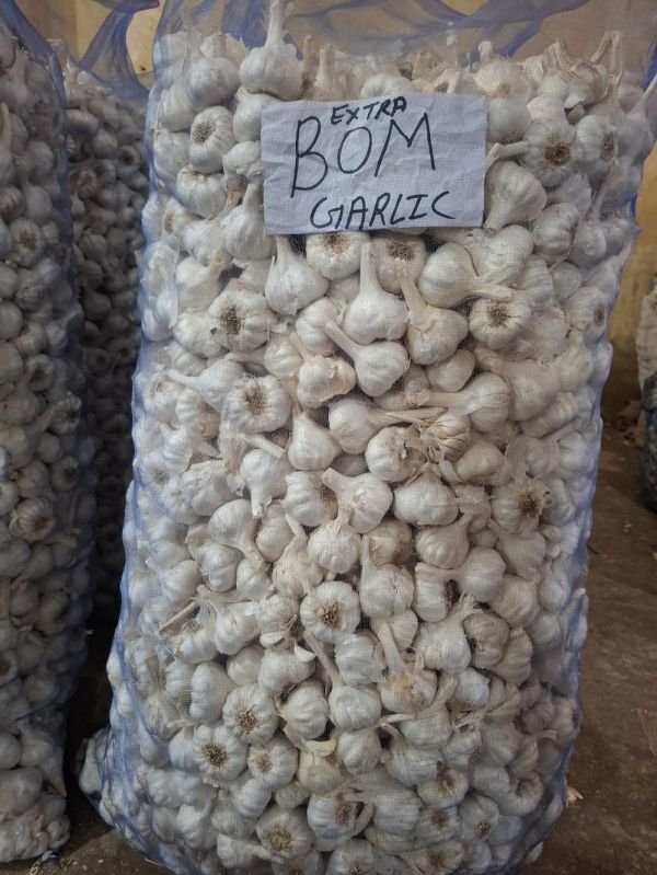 Extra Bom Fresh Garlic