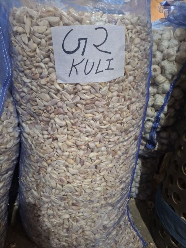 G2 Kuli Fresh White Garlic