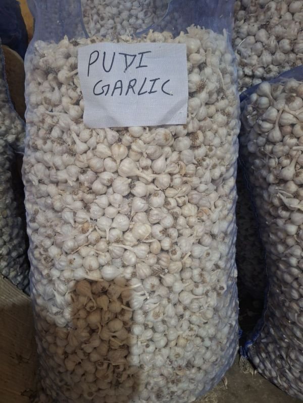 Pudi Fresh White Garlic