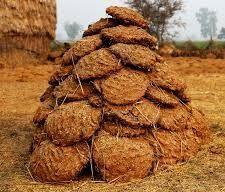 cow dung cake