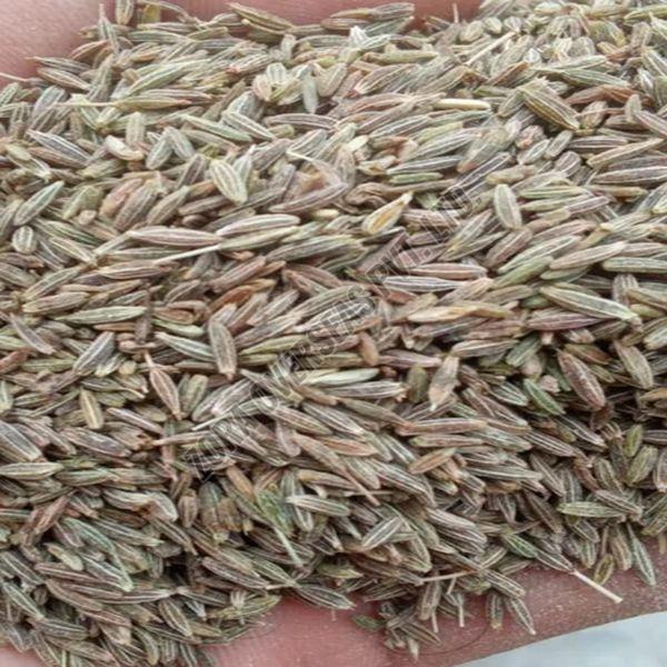 A Grade Cumin Seeds