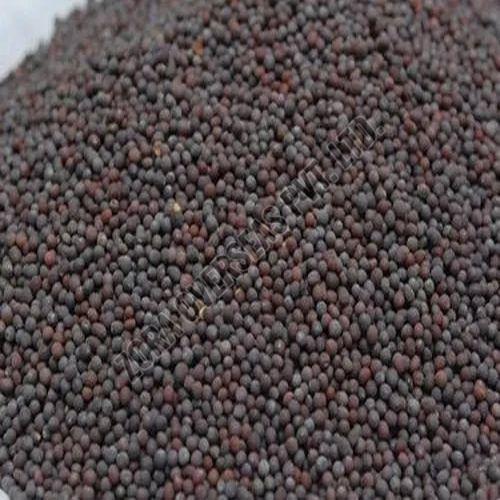 A Grade Mustard Seeds