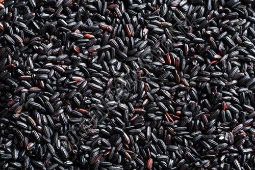 A Grade Organic Black Rice