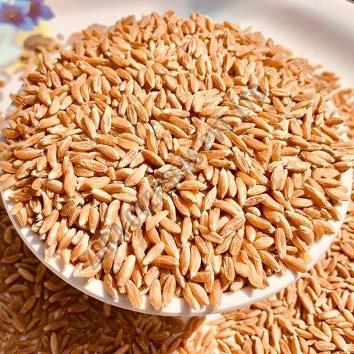 Brown Organic Khapli Wheat Grain