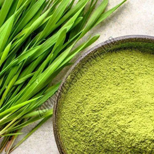Herbal Organic Wheat Grass Powder