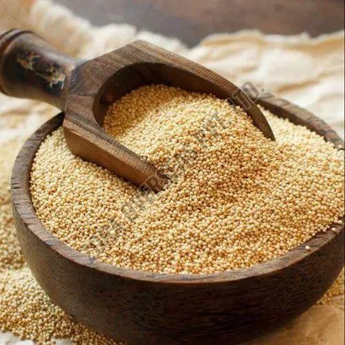 Organic Amaranth Seeds