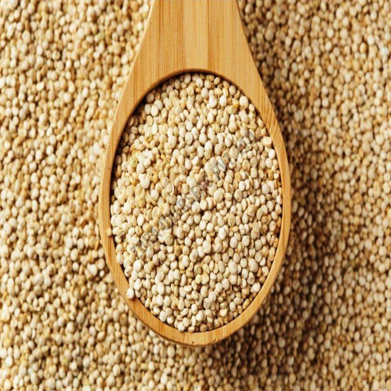 Organic White Quinoa Seeds