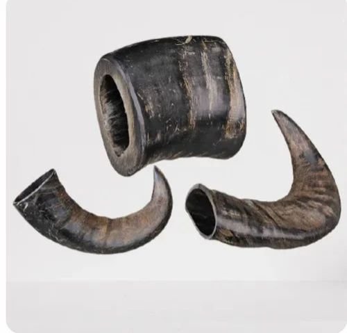 Buffalo Horn Dog Chew