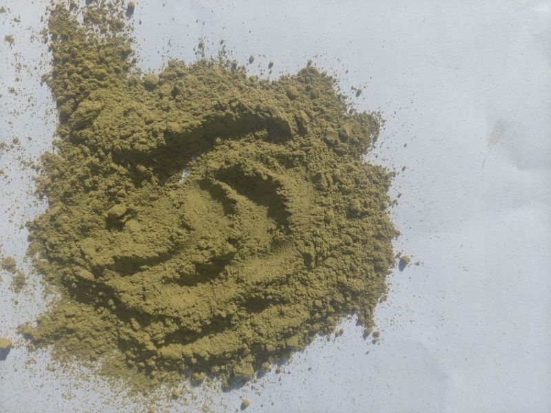 Dried Curry Leaves Powder