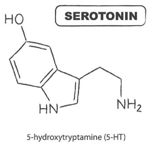 5-Hydroxytryptophan Powder