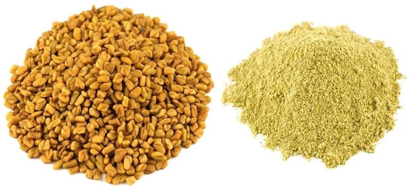 Fenugreek Extract Powder